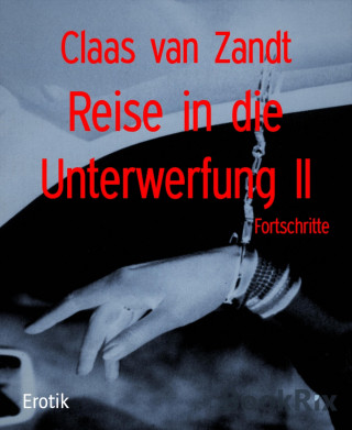 Claas van Zandt: Reise in die Unterwerfung II