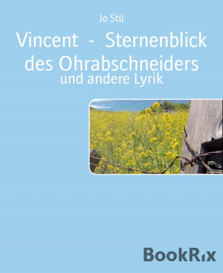 Jo Stü: Vincent - Sternenblick des Ohrabschneiders