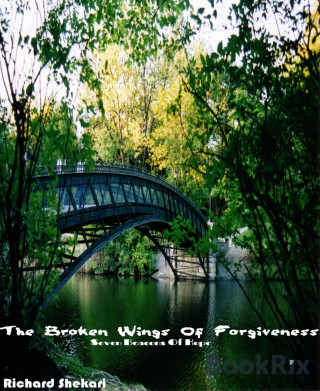 Richard Shekari: The broken wings of forgiveness