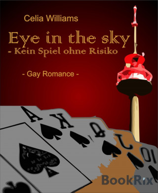 Celia Williams: Eye in the sky - Kein Spiel ohne Risiko