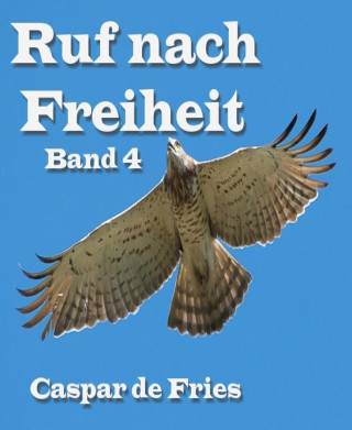 Caspar de Fries: Ruf nach Freiheit - Band 4