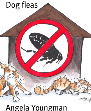 Angela Youngman: Dog fleas