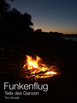 Tim Arnold: Funkenflug