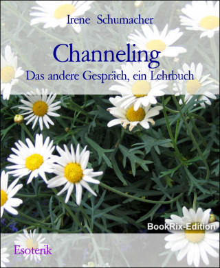Irene Schumacher: Channeling