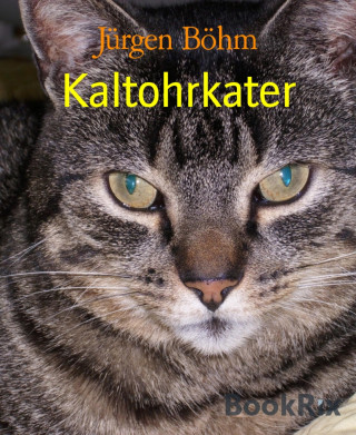 Jürgen Böhm: Kaltohrkater