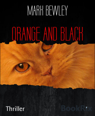 MARK BEWLEY: ORANGE AND BLACK