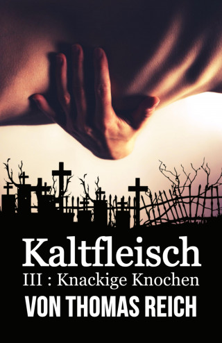 Thomas Reich: Kaltfleisch III