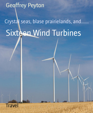 Geoffrey Peyton: Sixteen Wind Turbines
