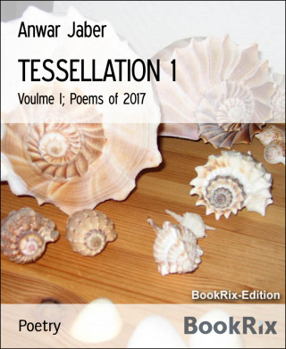 Anwar Jaber: TESSELLATION 1