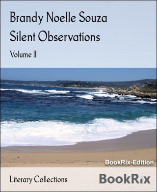 Brandy Noelle Souza: Silent Observations