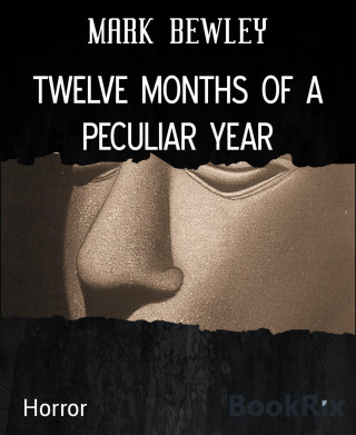 MARK BEWLEY: TWELVE MONTHS OF A PECULIAR YEAR
