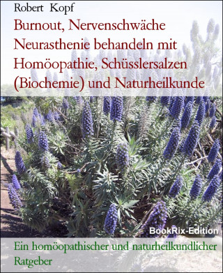 Robert Kopf: Burnout, Nervenschwäche Neurasthenie behandeln mit Homöopathie, Schüsslersalzen (Biochemie) und Naturheilkunde