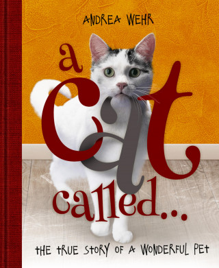 Andrea Wehr: A Cat Called ...