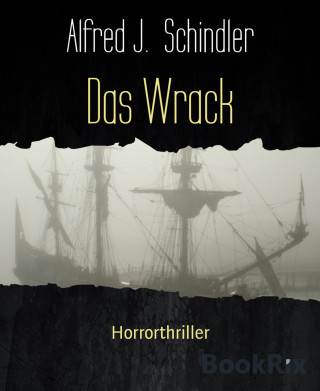 Alfred J. Schindler: Das Wrack