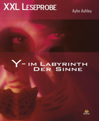 Aylin Ashley: XXL Leseprobe: Y – Im Labyrinth der Sinne