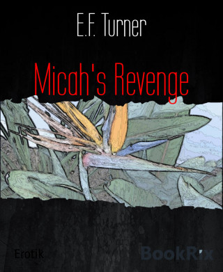 E.F. Turner: Micah's Revenge
