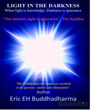 Eric EH buddhadharma: LIGHT IN THE DARKNESS