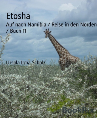 Ursula Irma Scholz: Etosha