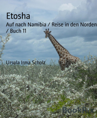 Ursula Irma Scholz: Etosha