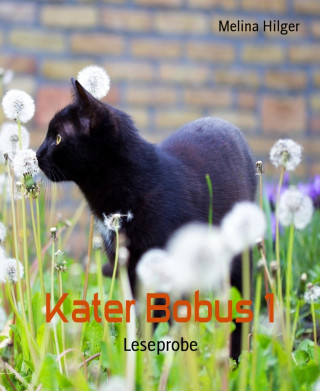 Melina Hilger: Kater Bobus 1