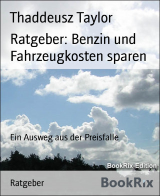 Thaddeusz Taylor: Ratgeber: Benzin und Fahrzeugkosten sparen