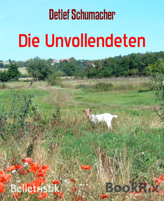 Detlef Schumacher: Die Unvollendeten