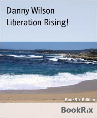 Danny Wilson: Liberation Rising!