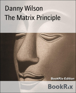 Danny Wilson: The Matrix Principle