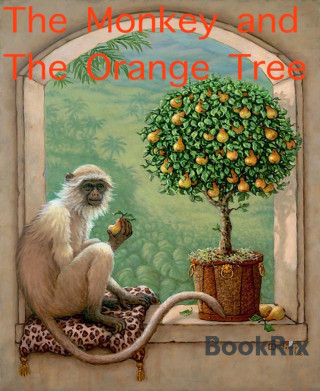 Heidi Jacobsen: The Monkey and The Orange Tree