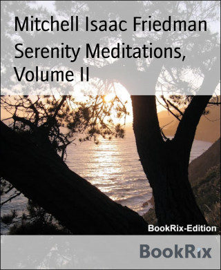 Mitchell Isaac Friedman: Serenity Meditations, Volume II