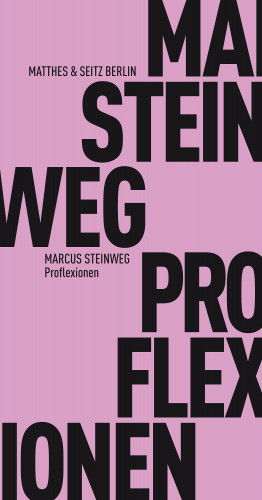 Marcus Steinweg: Proflexionen