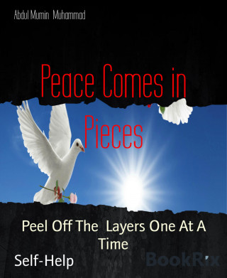 Abdul Mumin Muhammad: Peace Comes in Pieces