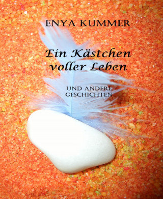 Enya Kummer: Ein Kästchen voller Leben