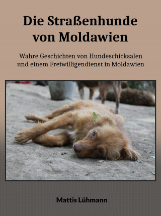 Mattis Lühmann: Die Straßenhunde von Moldawien