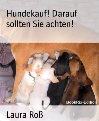 Laura Roß: Hundekauf! Darauf sollten Sie achten!