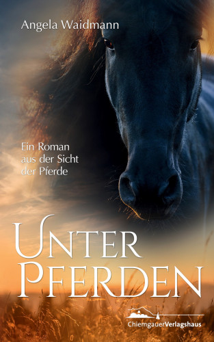 Angela Waidmann: Unter Pferden