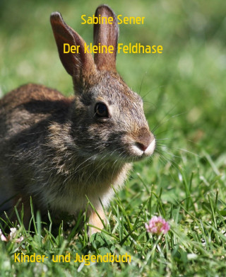 Sabine Sener: Der kleine Feldhase