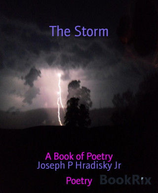 Joseph P Hradisky Jr: The Storm