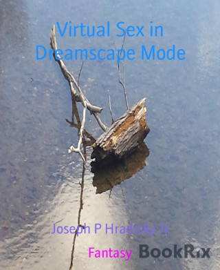 Joseph P Hradisky Jr: Virtual Sex in Dreamscape Mode