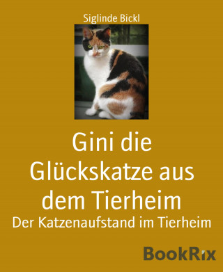 Siglinde Bickl: Gini die Glückskatze aus dem Tierheim