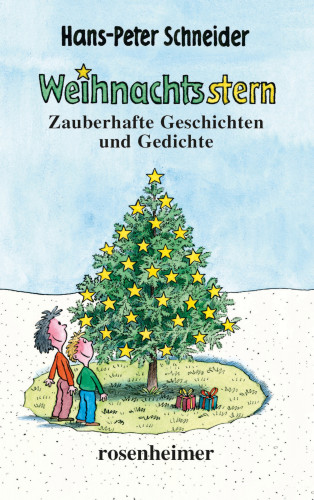 Hans-Peter Schneider: Weihnachtsstern