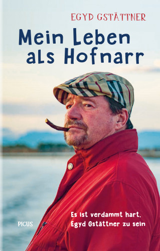 Egyd Gstättner: Mein Leben als Hofnarr