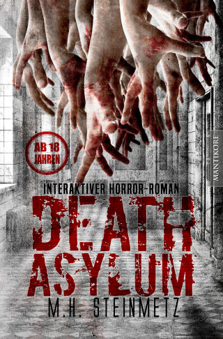 M.H. Steinmetz: Death Asylum - Interaktiver Horror-Roman