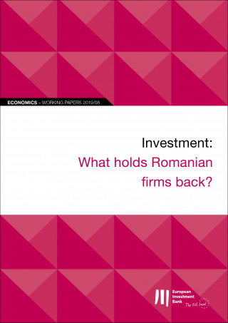 EIB Working Papers 2019/08 - Investment: What holds Romanian firms back?