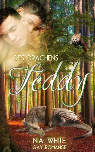 Nia White: Des Drachens Teddy