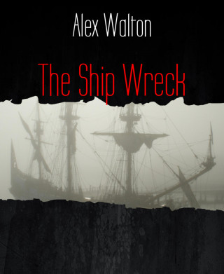 Alex Walton: The Ship Wreck