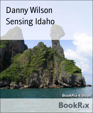 Danny Wilson: Sensing Idaho