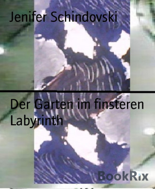 Jenifer Schindovski: Der Garten im finsteren Labyrinth