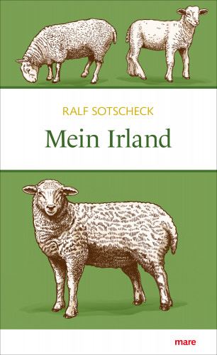 Ralf Sotschek: Mein Irland