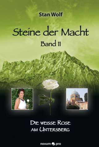 Stan Wolf: Steine der Macht – Band 11